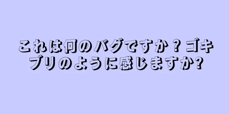 これは何のバグですか？ゴキブリのように感じますか?