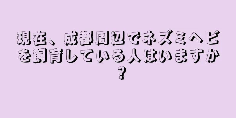 現在、成都周辺でネズミヘビを飼育している人はいますか？