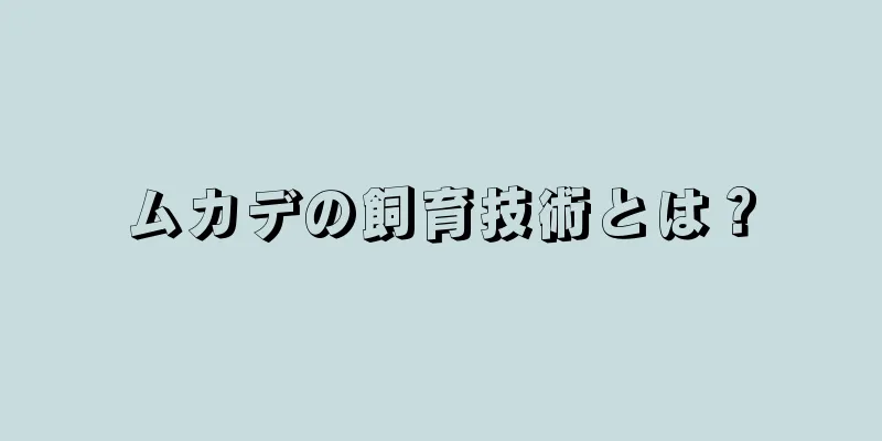 ムカデの飼育技術とは？