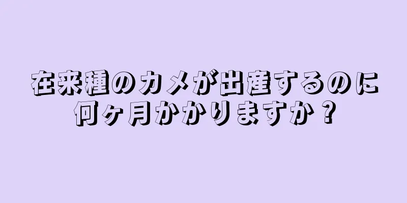 在来種のカメが出産するのに何ヶ月かかりますか？
