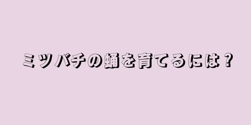 ミツバチの蛹を育てるには？