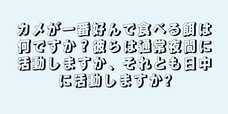 カメが一番好んで食べる餌は何ですか？彼らは通常夜間に活動しますか、それとも日中に活動しますか?