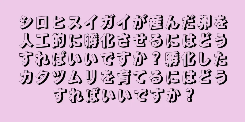 シロヒスイガイが産んだ卵を人工的に孵化させるにはどうすればいいですか？孵化したカタツムリを育てるにはどうすればいいですか？