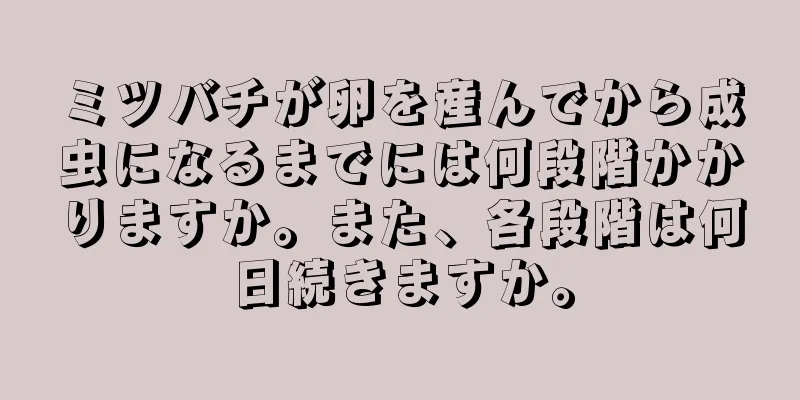 ミツバチが卵を産んでから成虫になるまでには何段階かかりますか。また、各段階は何日続きますか。