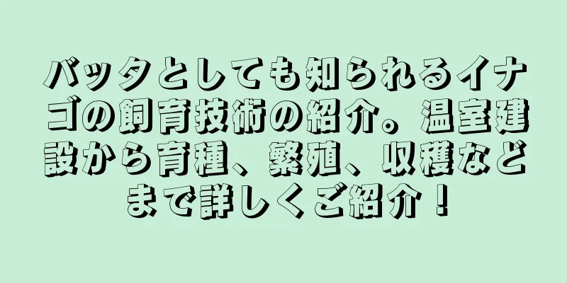 バッタとしても知られるイナゴの飼育技術の紹介。温室建設から育種、繁殖、収穫などまで詳しくご紹介！