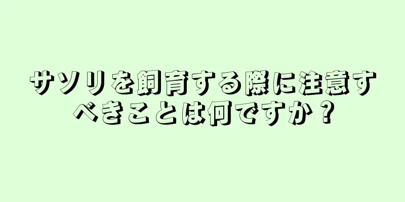 サソリを飼育する際に注意すべきことは何ですか？