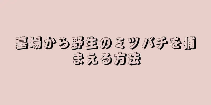 墓場から野生のミツバチを捕まえる方法