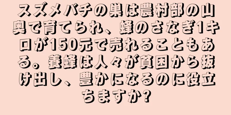 スズメバチの巣は農村部の山奥で育てられ、蜂のさなぎ1キロが150元で売れることもある。養蜂は人々が貧困から抜け出し、豊かになるのに役立ちますか?