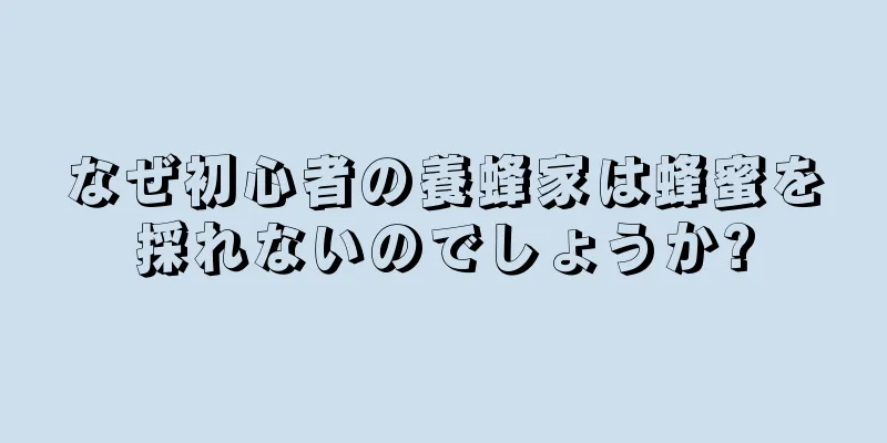 なぜ初心者の養蜂家は蜂蜜を採れないのでしょうか?