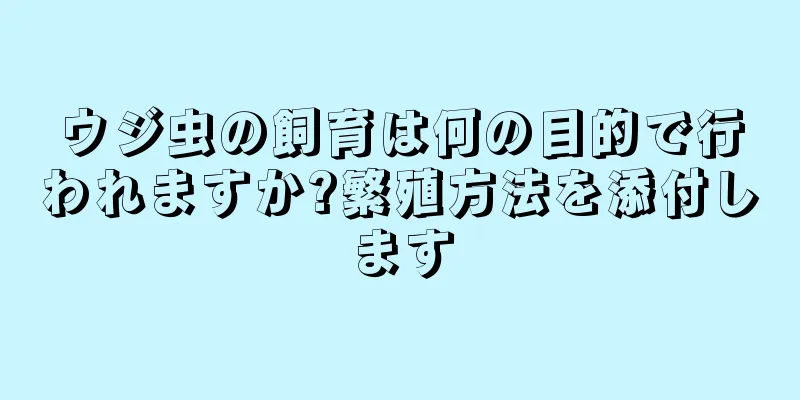 ウジ虫の飼育は何の目的で行われますか?繁殖方法を添付します