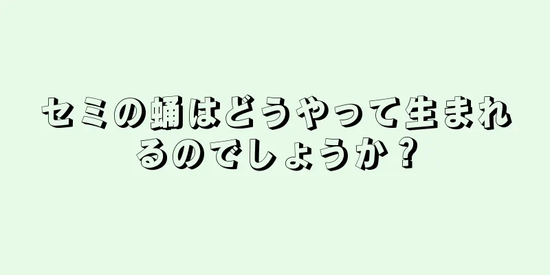 セミの蛹はどうやって生まれるのでしょうか？