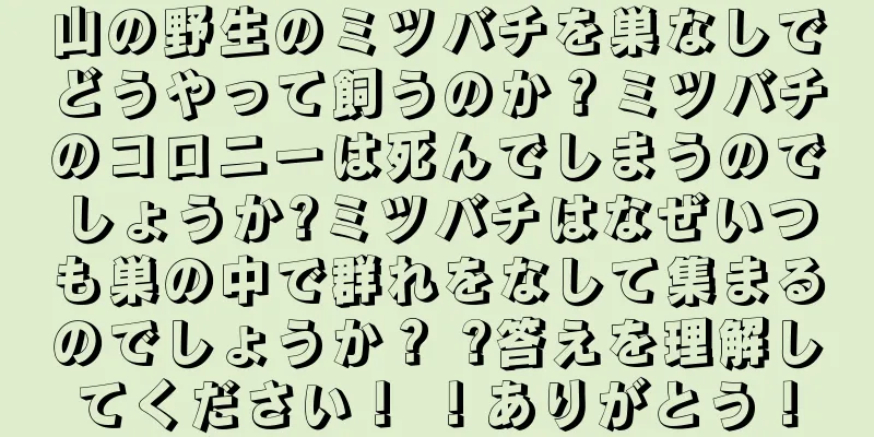 山の野生のミツバチを巣なしでどうやって飼うのか？ミツバチのコロニーは死んでしまうのでしょうか?ミツバチはなぜいつも巣の中で群れをなして集まるのでしょうか？ ?答えを理解してください！ ！ありがとう！