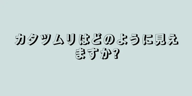 カタツムリはどのように見えますか?