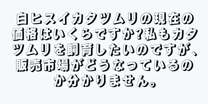 白ヒスイカタツムリの現在の価格はいくらですか?私もカタツムリを飼育したいのですが、販売市場がどうなっているのか分かりません。