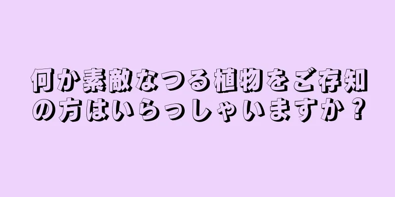 何か素敵なつる植物をご存知の方はいらっしゃいますか？