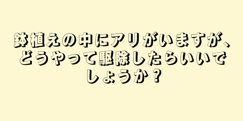 鉢植えの中にアリがいますが、どうやって駆除したらいいでしょうか？