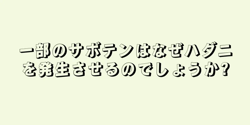 一部のサボテンはなぜハダニを発生させるのでしょうか?