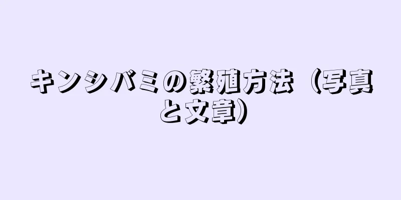 キンシバミの繁殖方法（写真と文章）