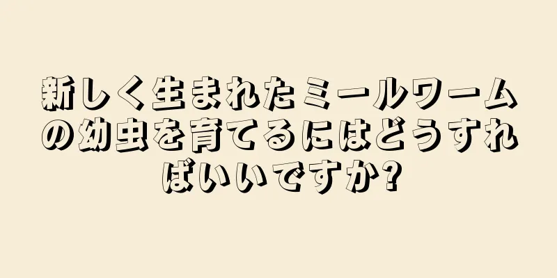 新しく生まれたミールワームの幼虫を育てるにはどうすればいいですか?
