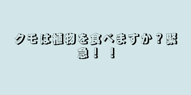 クモは植物を食べますか？緊急！ ！
