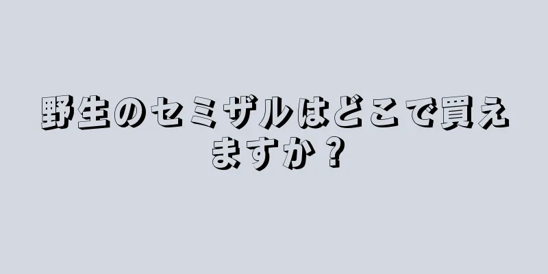 野生のセミザルはどこで買えますか？