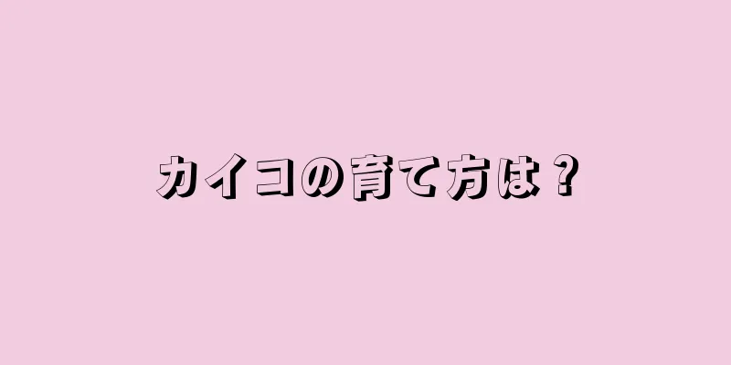 カイコの育て方は？
