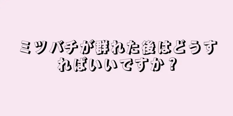ミツバチが群れた後はどうすればいいですか？