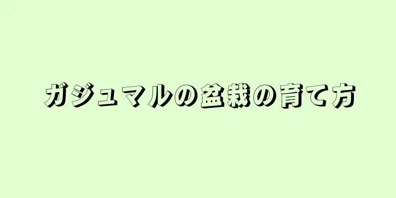 ガジュマルの盆栽の育て方
