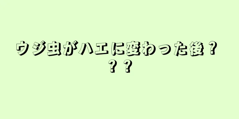 ウジ虫がハエに変わった後？ ? ?