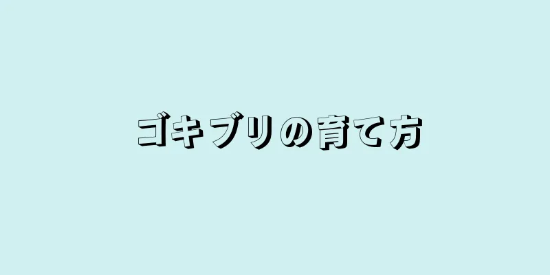 ゴキブリの育て方