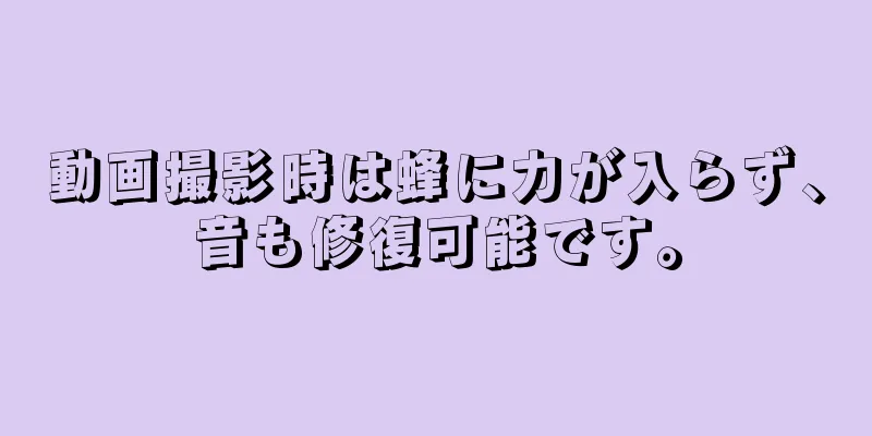 動画撮影時は蜂に力が入らず、音も修復可能です。