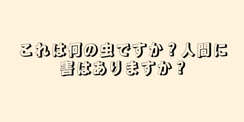 これは何の虫ですか？人間に害はありますか？