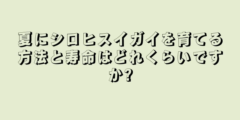 夏にシロヒスイガイを育てる方法と寿命はどれくらいですか?