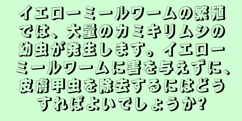 イエローミールワームの繁殖では、大量のカミキリムシの幼虫が発生します。イエローミールワームに害を与えずに、皮膚甲虫を除去するにはどうすればよいでしょうか?