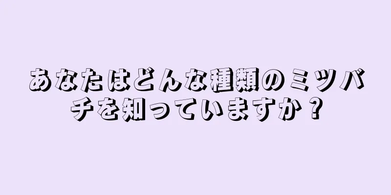 あなたはどんな種類のミツバチを知っていますか？