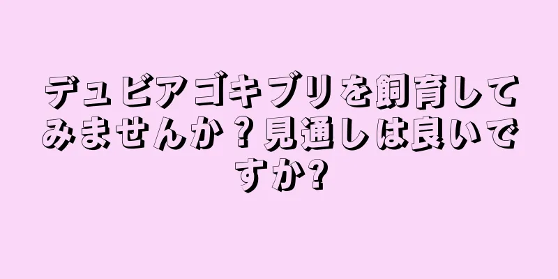 デュビアゴキブリを飼育してみませんか？見通しは良いですか?