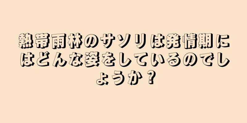 熱帯雨林のサソリは発情期にはどんな姿をしているのでしょうか？