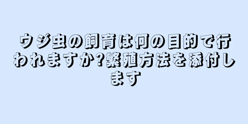 ウジ虫の飼育は何の目的で行われますか?繁殖方法を添付します