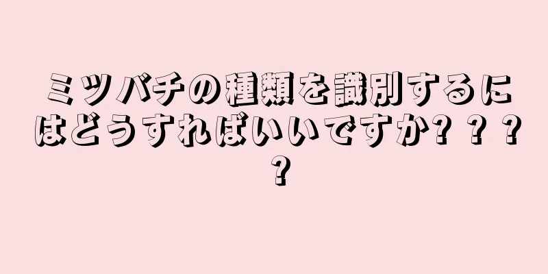 ミツバチの種類を識別するにはどうすればいいですか? ? ? ?