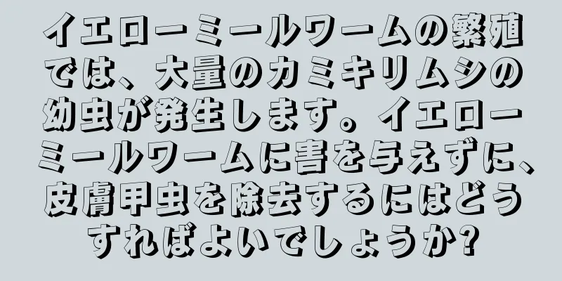 イエローミールワームの繁殖では、大量のカミキリムシの幼虫が発生します。イエローミールワームに害を与えずに、皮膚甲虫を除去するにはどうすればよいでしょうか?
