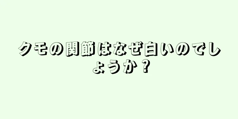 クモの関節はなぜ白いのでしょうか？