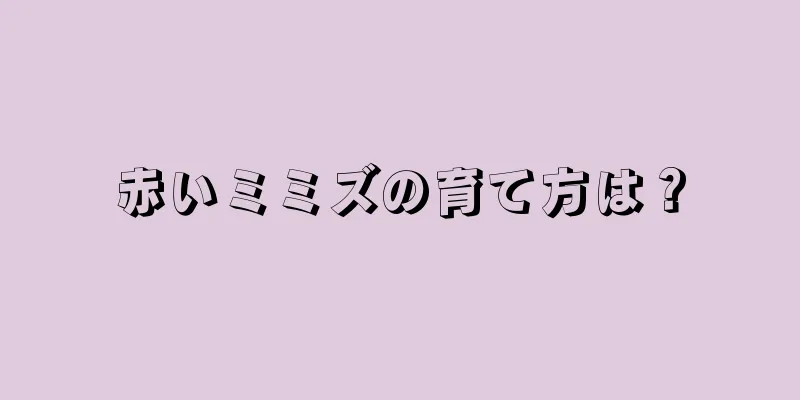 赤いミミズの育て方は？