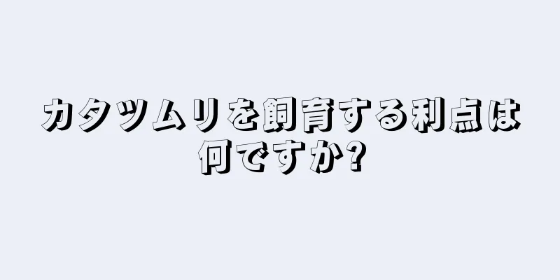 カタツムリを飼育する利点は何ですか?