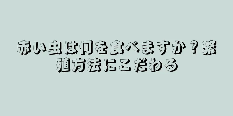 赤い虫は何を食べますか？繁殖方法にこだわる