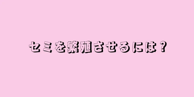 セミを繁殖させるには？