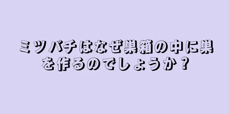ミツバチはなぜ巣箱の中に巣を作るのでしょうか？