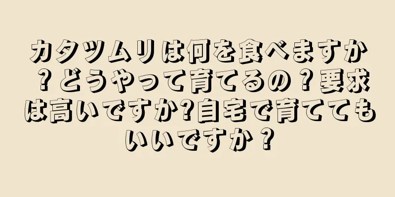 カタツムリは何を食べますか？どうやって育てるの？要求は高いですか?自宅で育ててもいいですか？