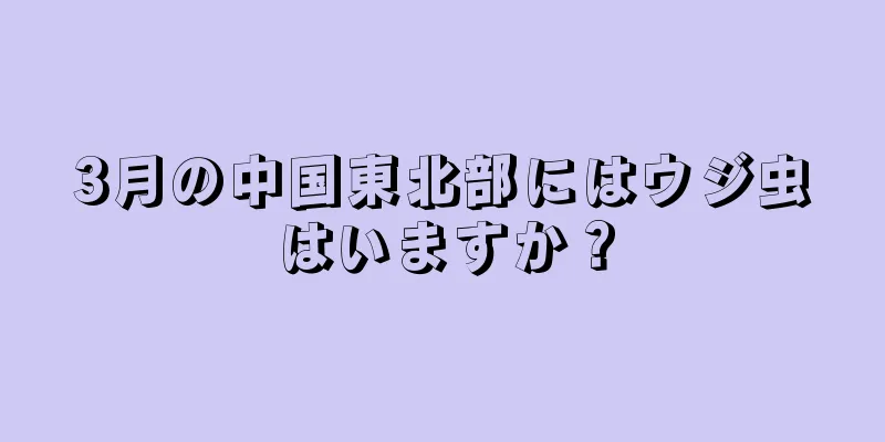 3月の中国東北部にはウジ虫はいますか？