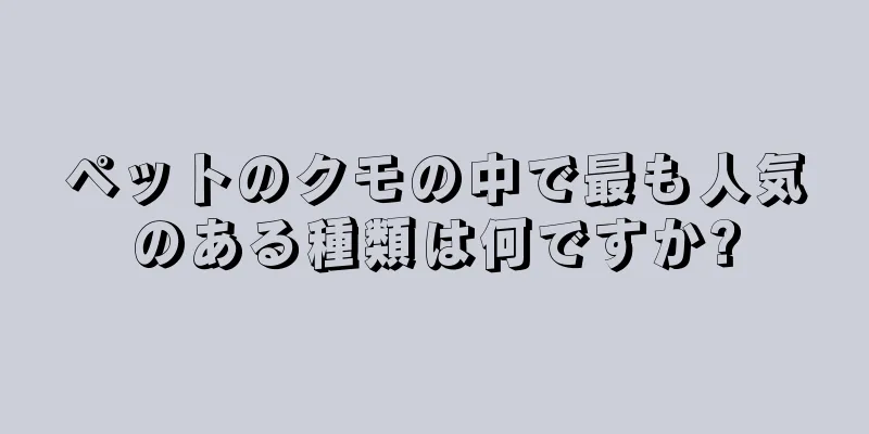 ペットのクモの中で最も人気のある種類は何ですか?