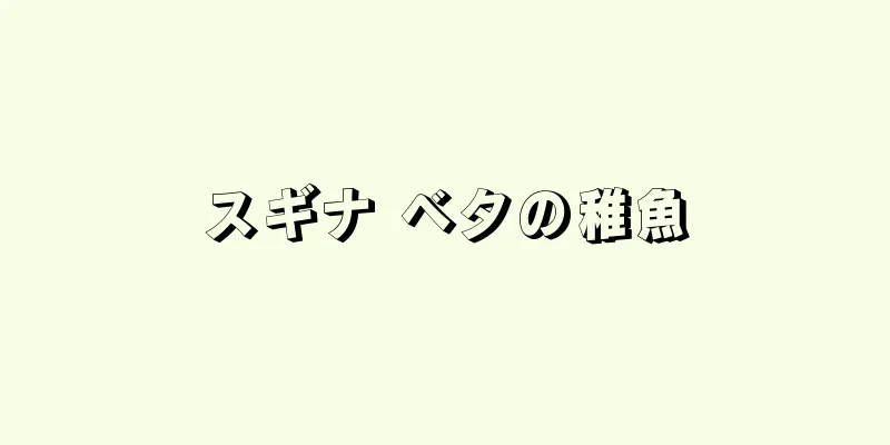 スギナ ベタの稚魚